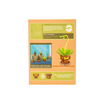 Mega Bitki Çiçekleri Sukulent 152 Parça