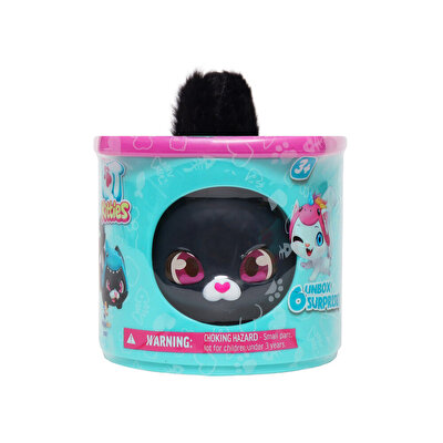 QT Kitties Ash Yavru Kedi