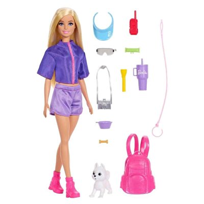 Barbie Malibu Bebek ve Aksesuar Seti JJV59