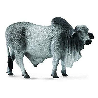 Collecta Brahman Boğa