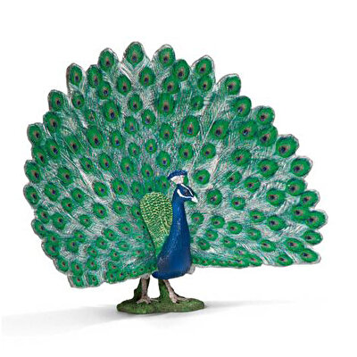 Schleich Tavus Kuşu