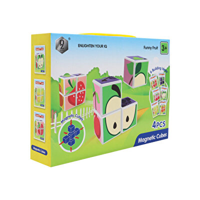 Manyetik 4 Parça Zeka Küpleri