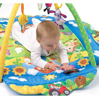 Playgro Mutlu Çiftlik Işıklı ve Sesli Oyun Halısı