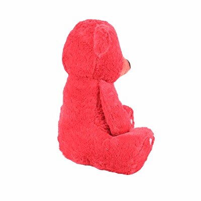 Kırmızı Göbekli Ayı