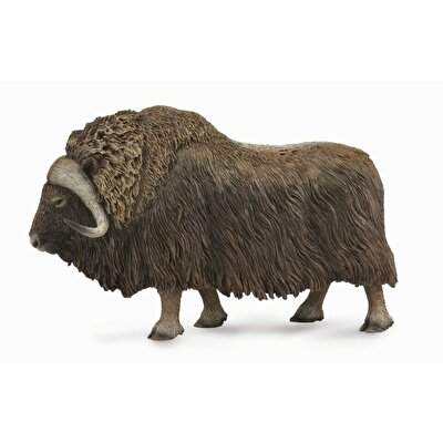 Collecta Misk Sığırı