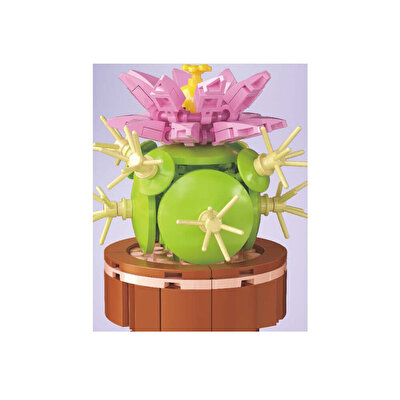 Mega Bitki Çiçekleri Kaktüs 181 Parça