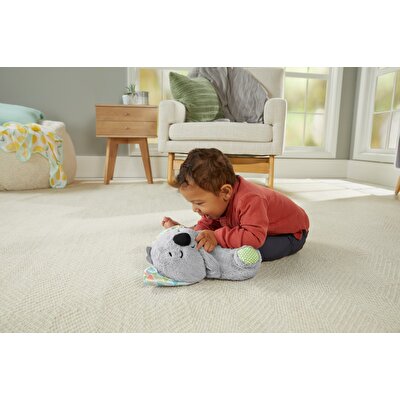 Fisher Price Uyku Arkadaşı Koala GRT59