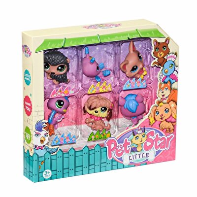 Kutuda 6'lı Miniş Seti 2