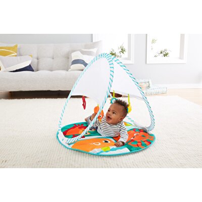 Fisher Price Renkli Dostlar Taşınabilir Jimnastıik Merkezi FXC15