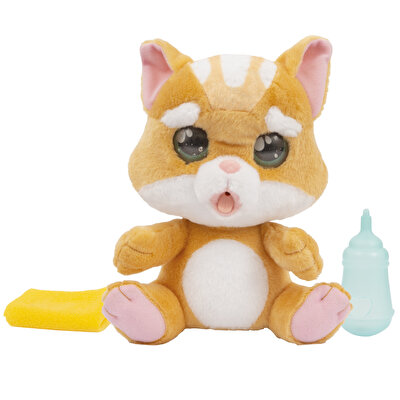 Emotion Pets Evcil Hayvanlar Sarı Kedi