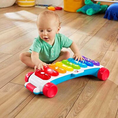Fisher Price Işıklı Dev Ksilofon