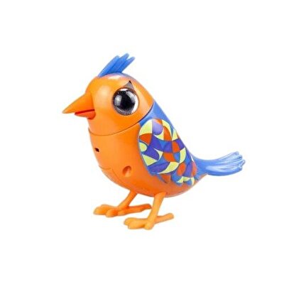 Digibirds İkili Paket Seri 1