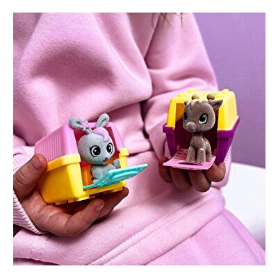 House Pets Evcil Hayvanlar Sürpriz Paket