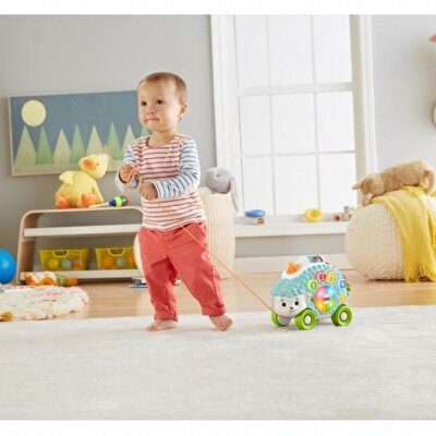 Fisher Price Linkimals Sevimli Gezgin Kirpi Türkçe GJB12