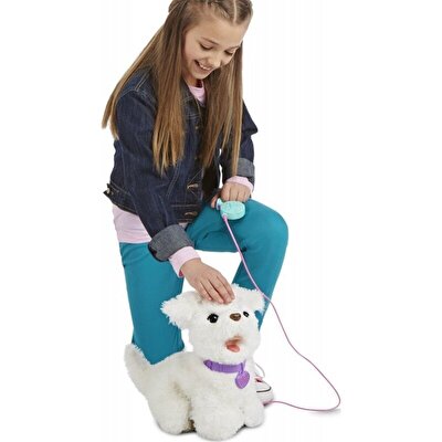 Yeni Cici Köpeğim Gogo