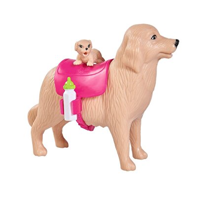 Evi Love Köpek Bakıcısı