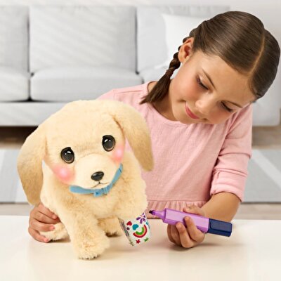 LLP Yavru Köpek İyileşiyor 26679