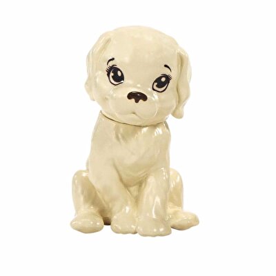 Barbie Kariyer Bebekleri Fotoğrafçı HCN10