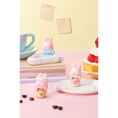 Momo Bunny Life Diar Serisi Sürpriz Paket Koleksiyon Figürü
