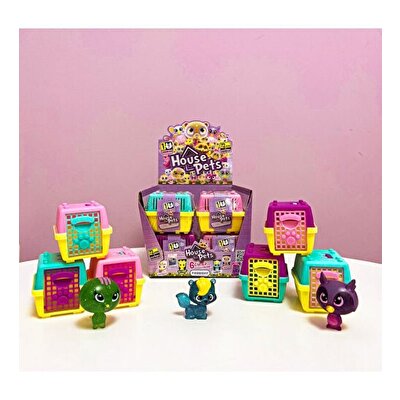 House Pets Evcil Hayvanlar Sürpriz Paket