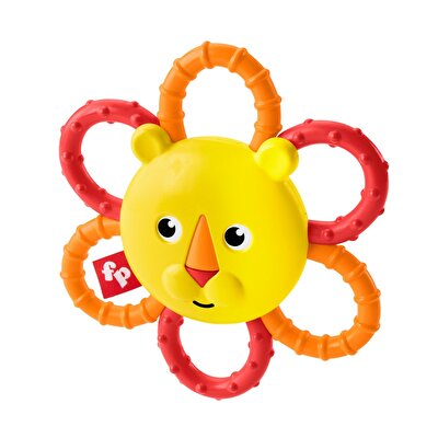 Fisher Price Sevimli Dostlar Dişlik ve Çıngıraklar Aslan (GGF04)