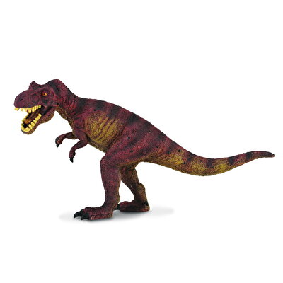 Collecta Tyrannosaurus Rex