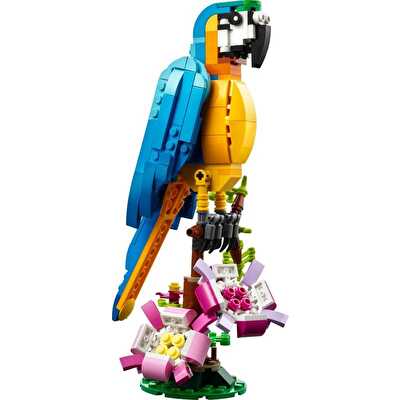 LEGO Creator 3’ü 1 Arada Egzotik Papağan 31136