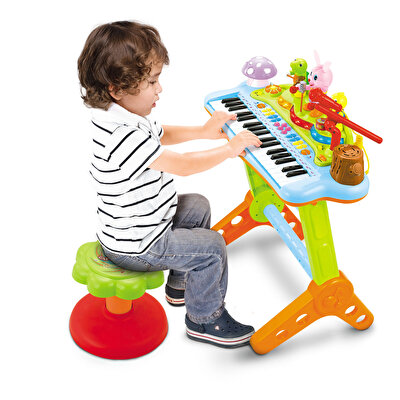 Mikrofonlu Ayaklı Org Seti