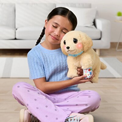 LLP Yavru Köpek İyileşiyor 26679