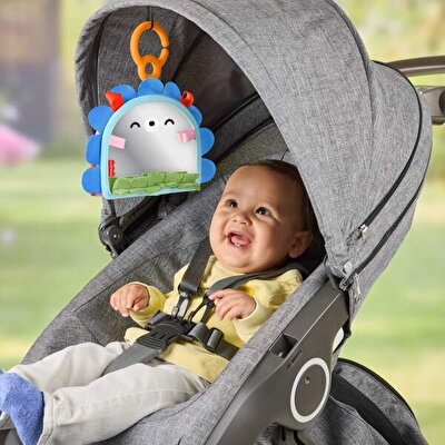 Fisher Price Eğlenceli Kirpi Ayna JHB45