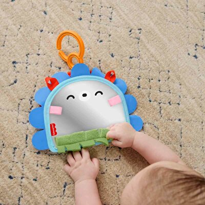 Fisher Price Eğlenceli Kirpi Ayna JHB45
