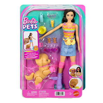 Barbie Paten Eğlencesi ve Sevimli Köpek Oyun Seti JMJ45