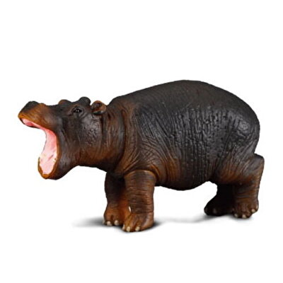 Collecta Yavru Hippopotam
