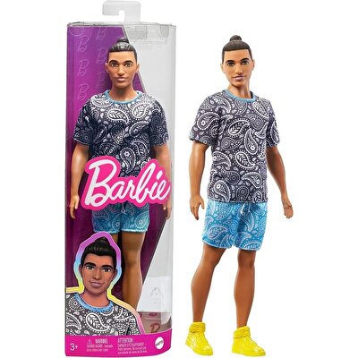 Barbie Yakışıklı Ken Bebekler HPF80