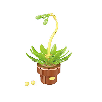 Mega Bitki Çiçekleri Sukulent 152 Parça