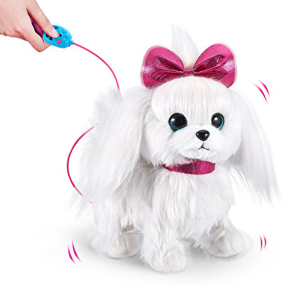 Pets Alive Yürüyen Köpeği̇m
