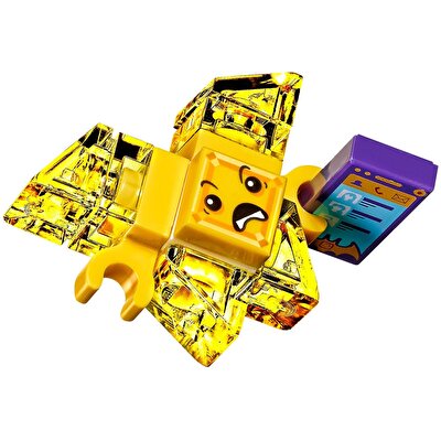 LEGO® DC Super Hero Girls Batgirl Batjet Takibi