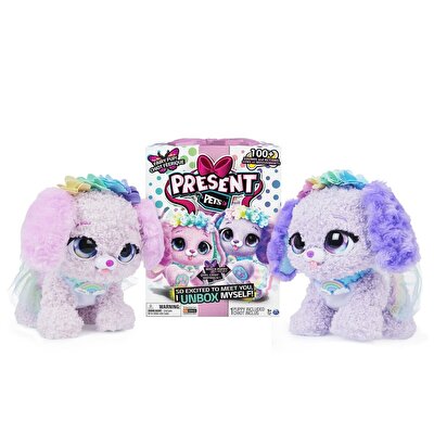 Present Pets Gökkuşağı Perisi