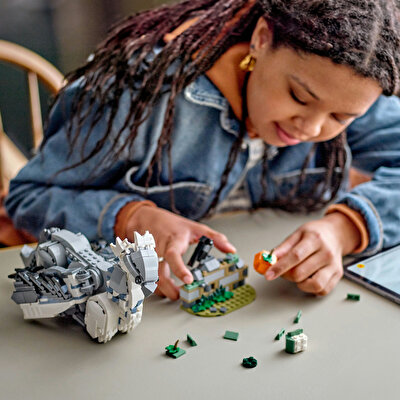 LEGO Harry Potter Şahgaga 76427