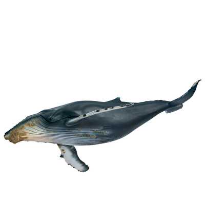 Schleich Kambur Balina 16083