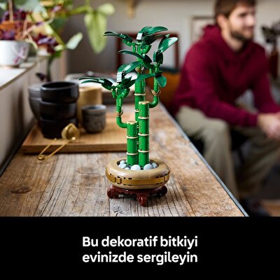 LEGO Botanicals Şans Bambusu 10344