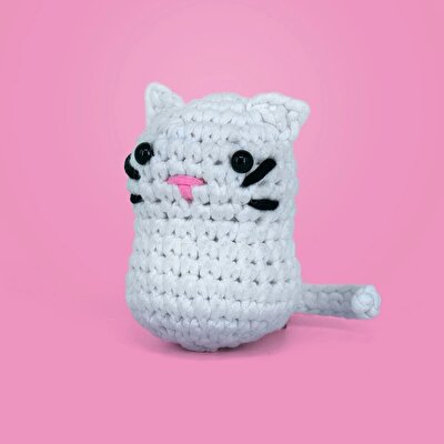 Kedoli Örgü Öğrenme Seti