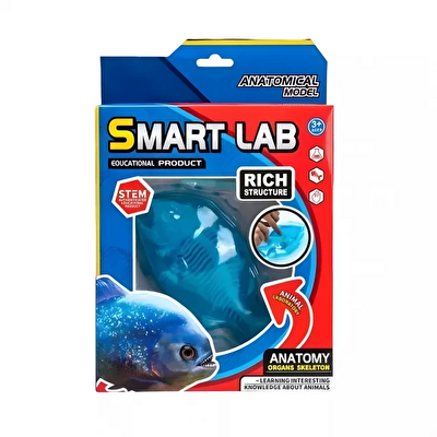 Köpekbalığı Laboratuvar Seti