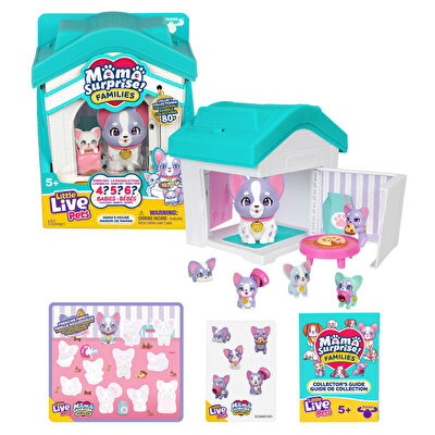 LLP MSF Pati Ailesi Oyun Seti Frenchie Family