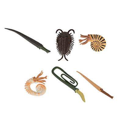 6'lı Okyanus Canlıları Hayvan Seti 1