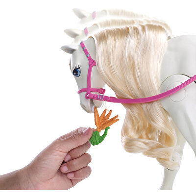 Barbie ve Muhteşem Atı