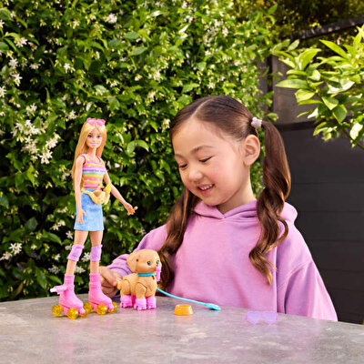 Barbie Pets Paten Macerası Bebek ve Sevimli Köpek Oyun Seti JMJ44