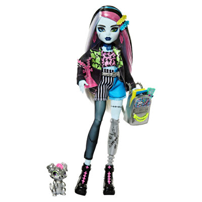 Monster High Ana Karakter Bebekler Frankie Stein HXH73