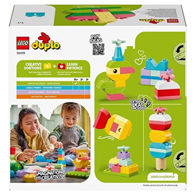 LEGO Duplo Renkli Yaratıcı Kutu 10479