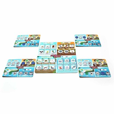 Acaba Neyim Hayvanlar Alemi